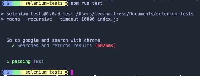 npm run test