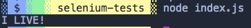 node index.js