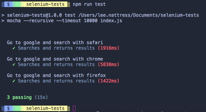 npm run test